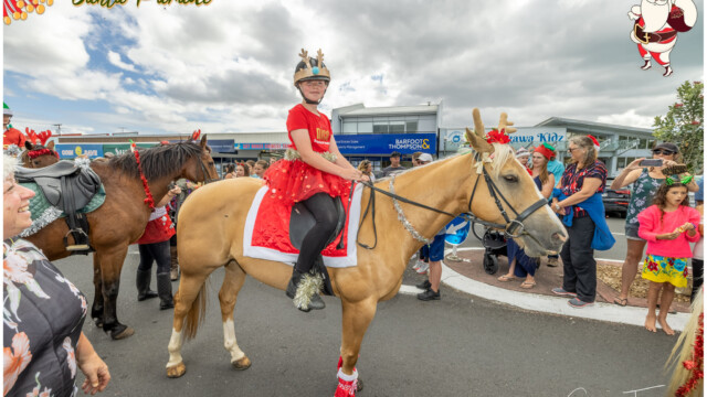 Image © Claude Thérond – used with permission Rider in festive costume on decorated horse at Pohutukawa Coast Santa Parade